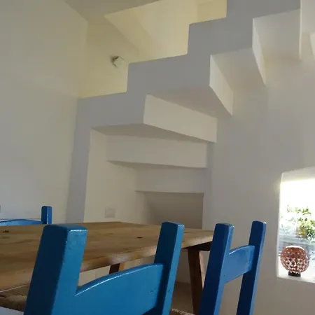 White - * 산판탈레오