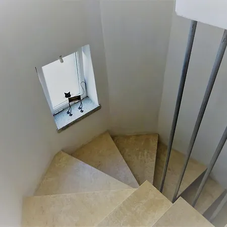 White - 산판탈레오