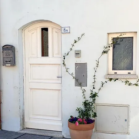 White - * San Pantaleo